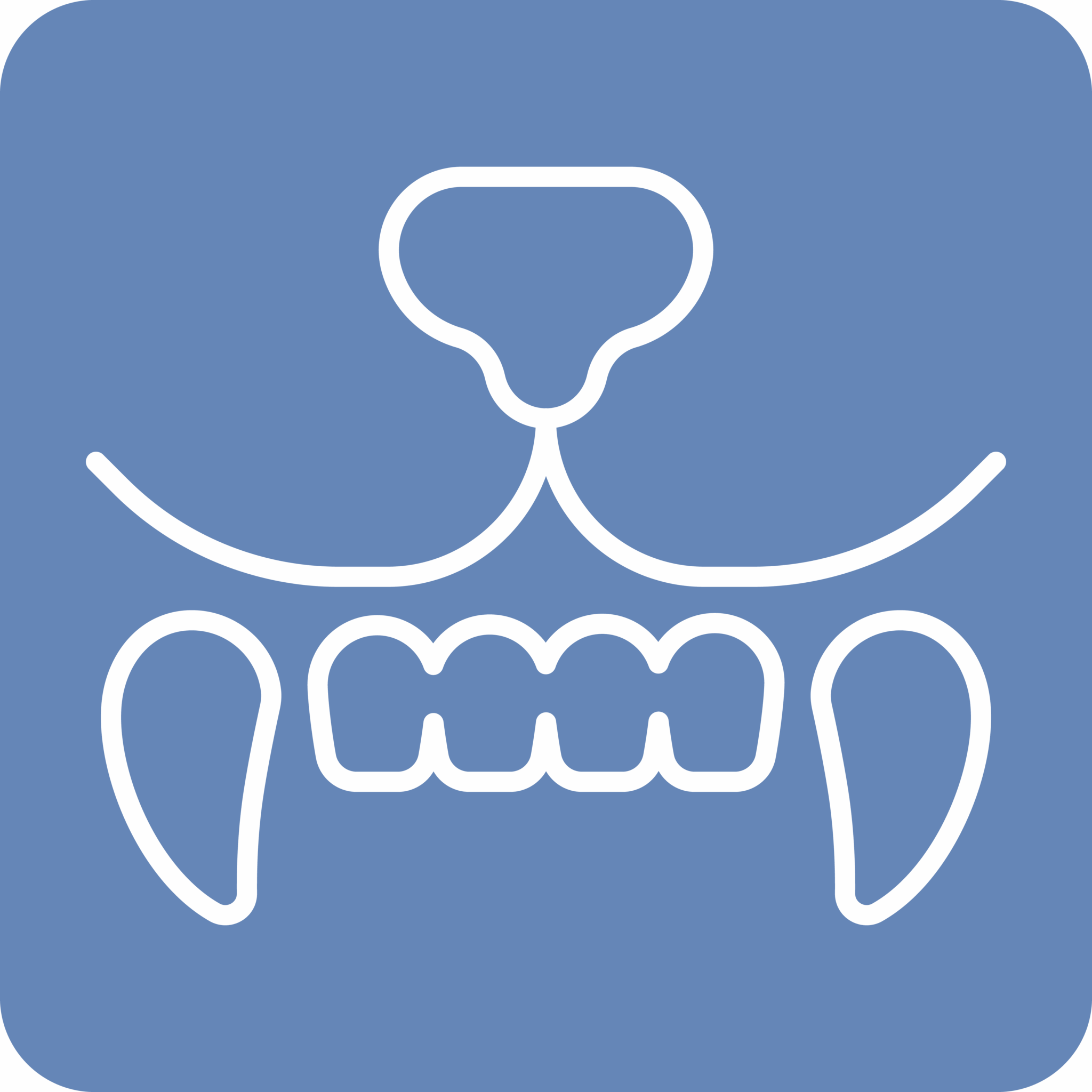 Pet Dental Icon