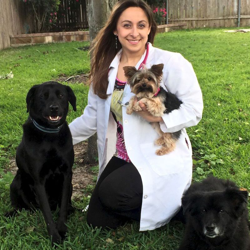 dr. garcia-lindborg smiling with her three dogs