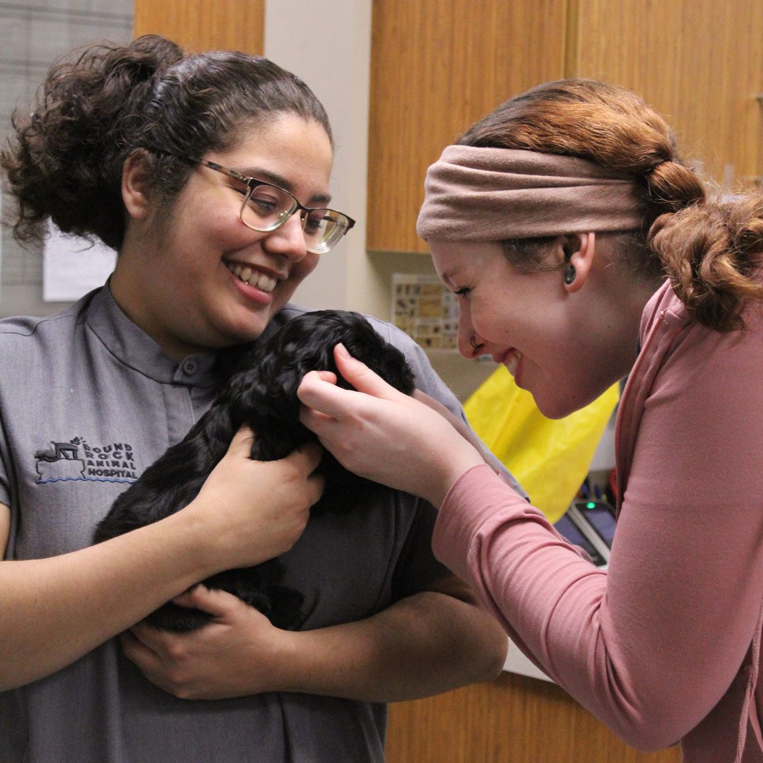 two female veterinary assistants with puppy