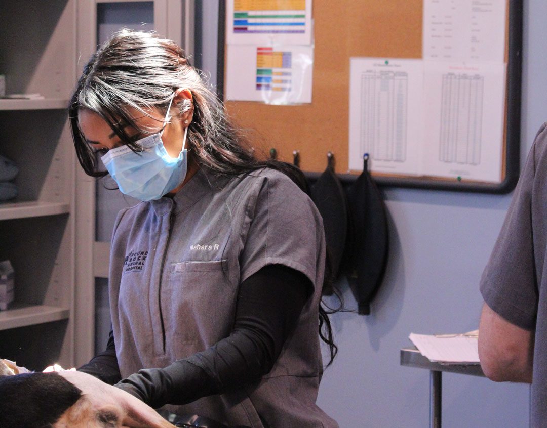 female veterinary staff member assisting with urgent care treatment on dog
