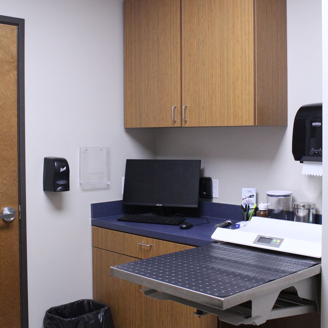 veterinary exam room