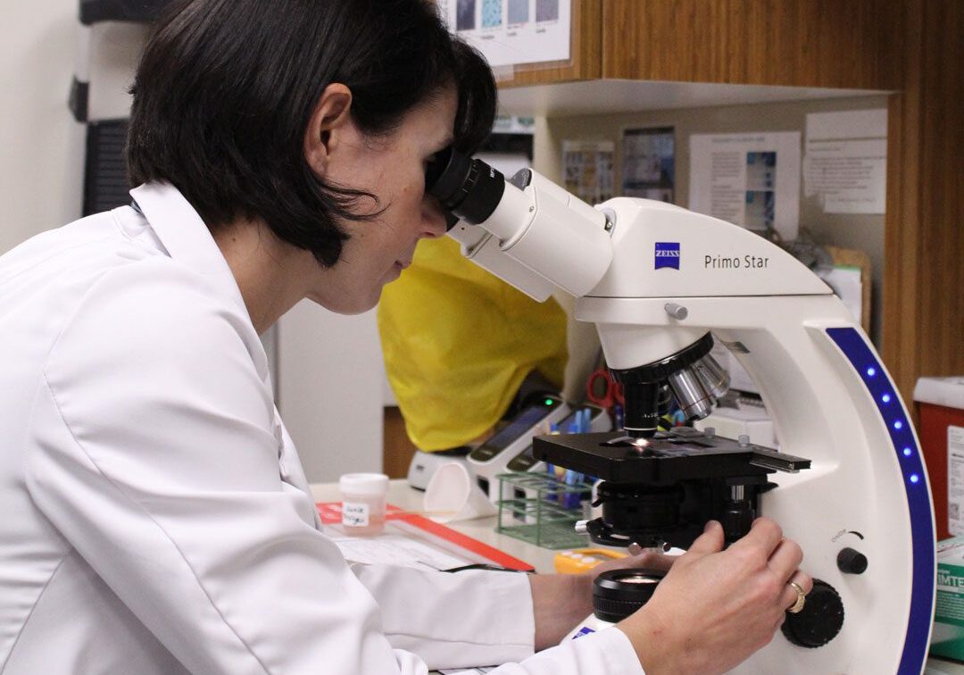 female veterinarian looking through a microscope